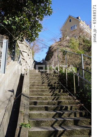 うらが道(歴史古道・横浜市安針塚) うらが道(歴史古道・横浜市安針塚) 65688571