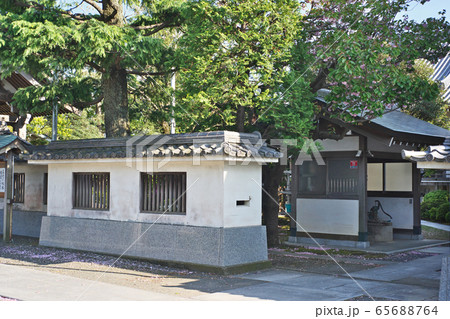 本在寺　（茅ヶ崎市）春 65688764