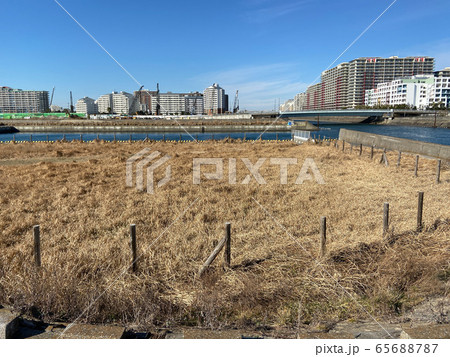 高洲海浜公園 高洲海浜公園 65688787
