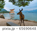鹿と鳥居 65690648