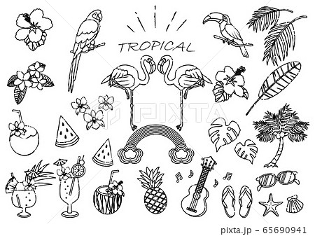 トロピカルなイラストセット　線画 65690941