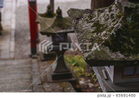 200315日枝神社M040 65691400