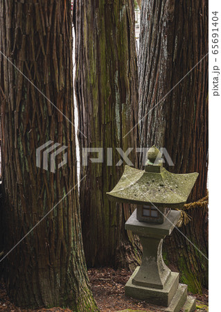 200315日枝神社M036 200315日枝神社M036 65691404