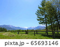 十勝、春の草原と雪山 65693146