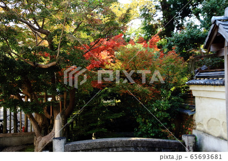 東大寺への道、紅葉、奈良県奈良市 65693681