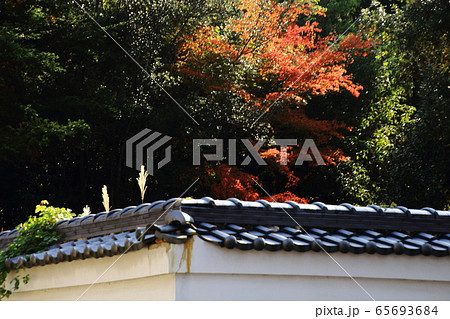 東大寺への道、塀の上の紅葉、奈良県奈良市、 東大寺への道、塀の上の紅葉、奈良県奈良市、 65693684