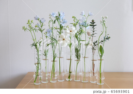 フラワーアレンジメント 花 花瓶の写真素材 フラワーアレンジメント 花 花瓶の写真素材