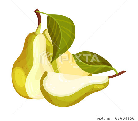 Pomaceous Halved Pear Fruit with Upper Flower Stalk and Green Fibrous Leaves Vector Illustration 65694356
