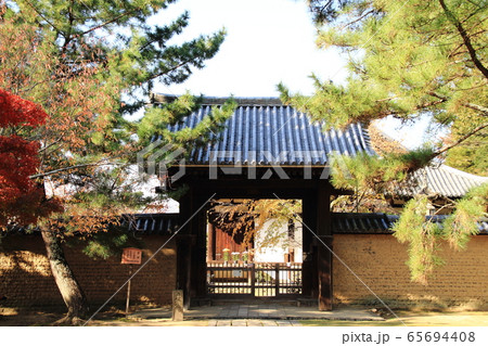 東大寺境内、門、紅葉、庭、奈良県奈良市 東大寺境内、門、紅葉、庭、奈良県奈良市 65694408