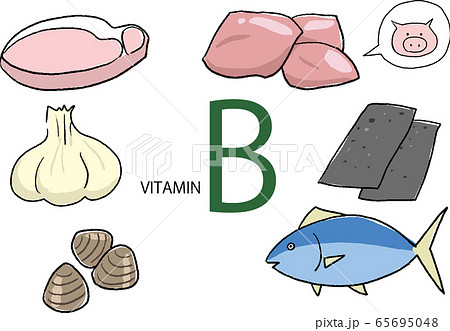 ビタミンb群の食品ベクターセットのイラスト素材