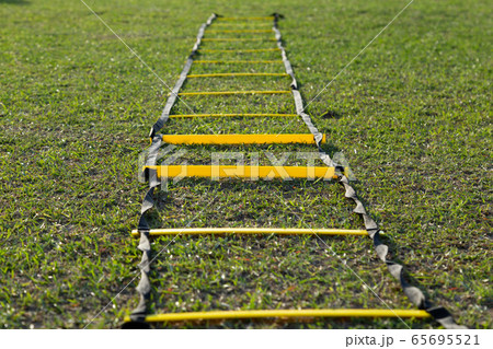 アジリティートレーニング 65695521