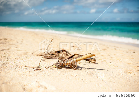 Beautiful white sand beach of Boracay Beautiful white sand beach of Boracay 65695960