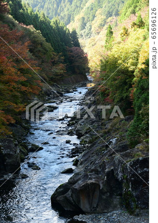 秋の別子銅山川 秋の別子銅山川 65696126