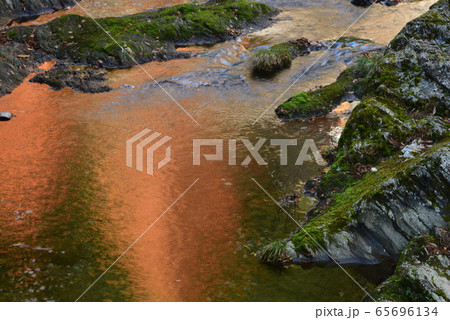 清流別子銅山川に映るメタセコイヤの紅葉 65696134