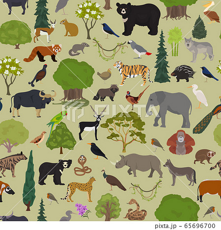 Monsoon forest biome, natural region seamless 65696700