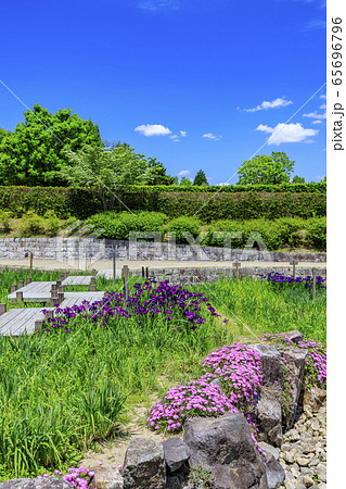 馬見丘陵公園　春 65696796