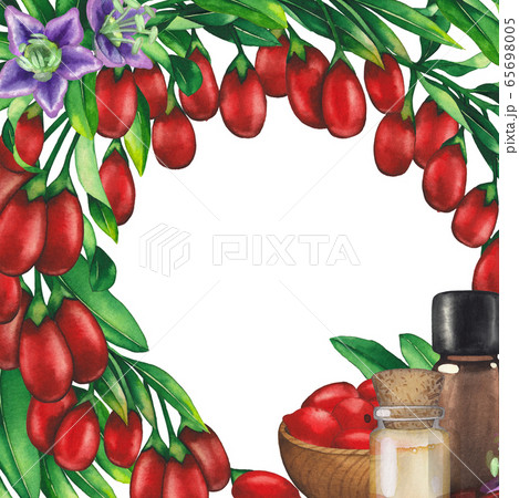 Watercolor essential oil bottles decorated with goji berries, leaves and flowers. Watercolor essential oil bottles decorated with goji berries, leaves and flowers. 65698005