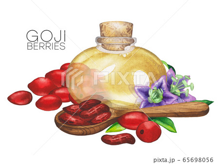 Watercolor essential oil bottle decorated with goji berries, leaves and flowers Watercolor essential oil bottle decorated with goji berries, leaves and flowers 65698056