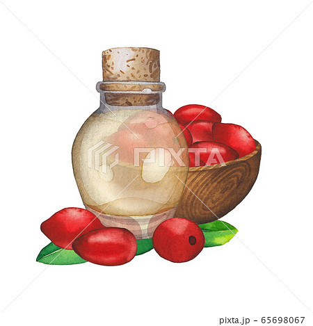 Watercolor essential oil bottle decorated with goji berries and wooden bowl 65698067