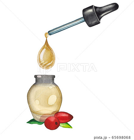 Watercolor oil drop dripping from the dropper inside the glass bottle decorated with goji leaves and berries. 65698068