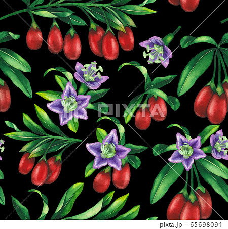Seamless pattern of watercolor goji berries, flowers and leaves. 65698094