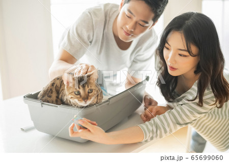 カップル 夫婦 猫 65699060