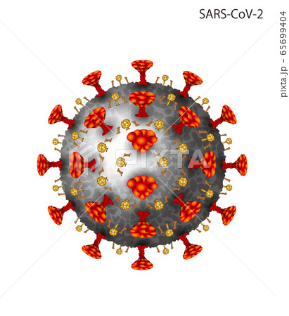 コロナウイルスのイラスト コロナウイルスのイラスト 65699404