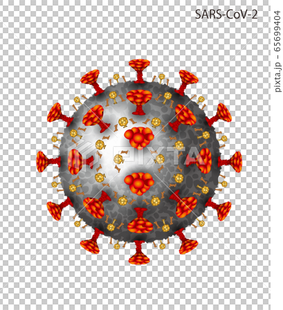 コロナウイルスのイラスト コロナウイルスのイラスト 65699404