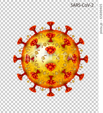 冠狀病毒的插圖 冠狀病毒的插圖 65699405