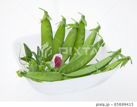 きぬさや 65699415