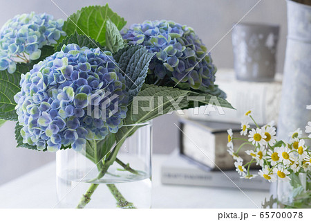 紫陽花の生け花 紫陽花の生け花 65700078