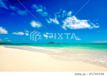 ハワイのトロピカルなビーチの景色 ハワイのトロピカルなビーチの景色 65700306