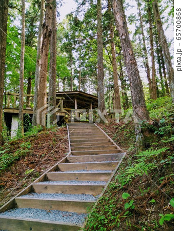 森林の中にある東屋 森林の中にある東屋 65700868