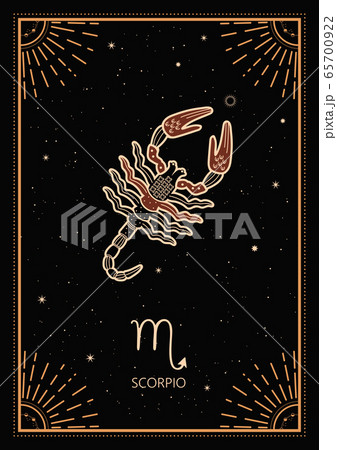 Zodiac Signs Cards. Zodiac background. Constellation Scorpio. Antique style. Zodiac Signs Cards. Zodiac background. Constellation Scorpio. Antique style. 65700922