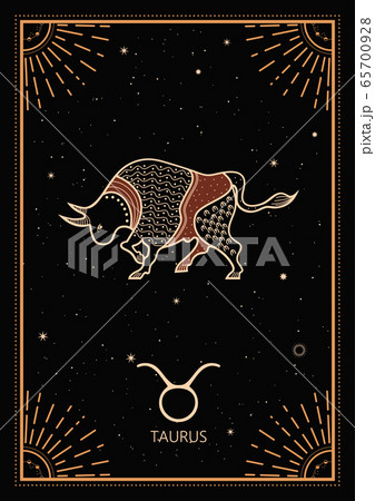 Zodiac Signs Cards. Zodiac background. Constellation Taurus. Antique style. 65700928