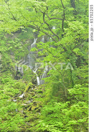 【兵庫県 新温泉町】お面ヶ滝 【兵庫県 新温泉町】お面ヶ滝 65702205