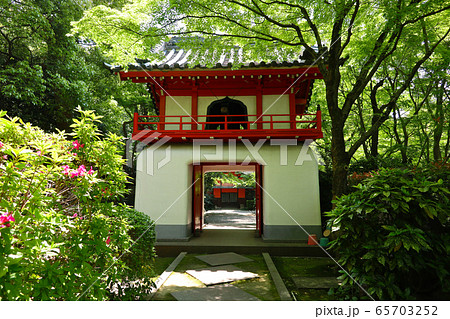 愛知県　名古屋　桃巌寺 65703252