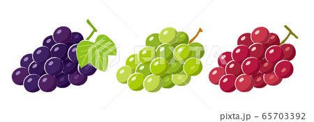 ぶどうのイラストのイラスト素材
