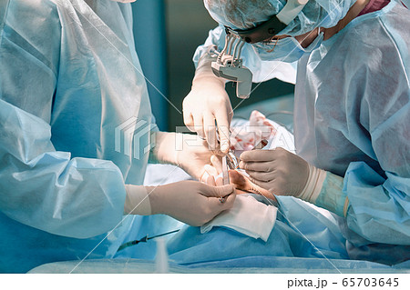 A surgeon with gloves is operating on his nose. Rhinoplasty, close-up operation. Blue light, teamwork, health, beauty. A surgeon with gloves is operating on his nose. Rhinoplasty, close-up operation. Blue light, teamwork, health, beauty. 65703645