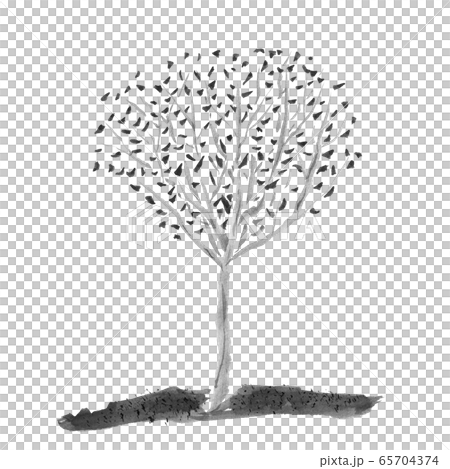 木　水墨画　イラスト　１６：９ 65704374