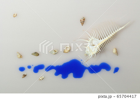 貝殻202005207d40 65704417