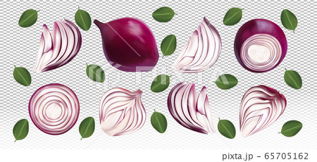 Set of red onion with leaves on transparent background. Flying red onion are whole and cut in half. 3D realistic red onion sliced, half, piece. Organic product. Vector illustration Set of red onion with leaves on transparent background. Flying red onion are whole and cut in half. 3D realistic red onion sliced, half, piece. Organic product. Vector illustration 65705162