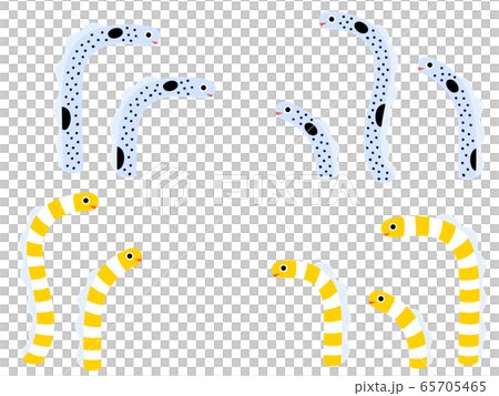 チンアナゴとニシキアナゴのイラストセットのイラスト素材