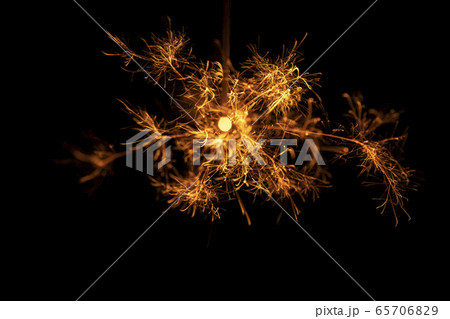 夏イメージ 儚くも美しい線香花火の写真素材