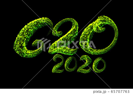 The G20 summit lettering word was held urgently via video link. This has never happened in the world before. They talked about issues related to the coronavirus epidemic and others 65707763