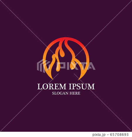 Fire flame vector illustration design 65708693