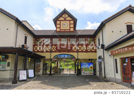 大阪・ハーベストの丘・夏・ひまわり 65710222