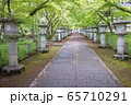 新緑の参道 65710291