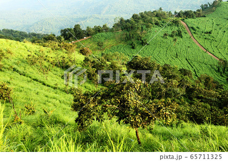 Palakkayam Thattu - Kerala tourism Palakkayam Thattu - Kerala tourism 65711325