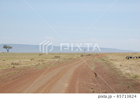 アフリカサバンナの風景・マサイマラ 65713624
